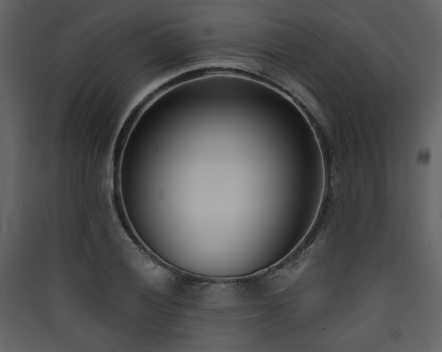 X0000090421028200707131204