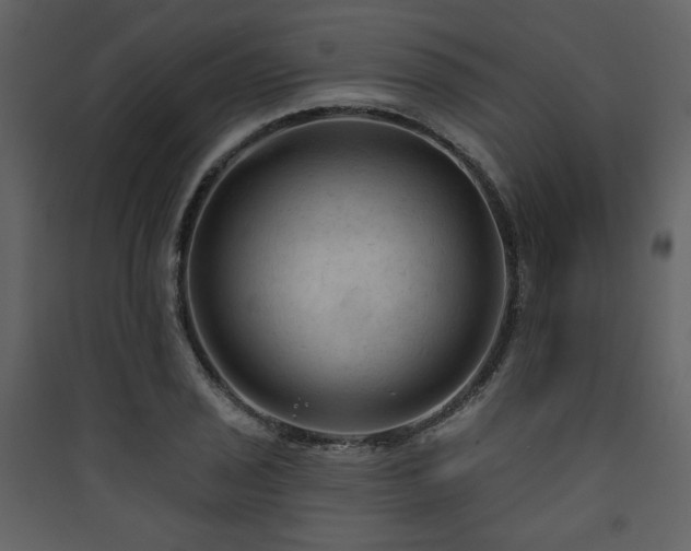 X0000090421029200707131204
