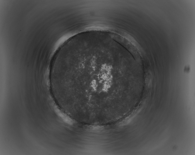 X0000090421030200707131204