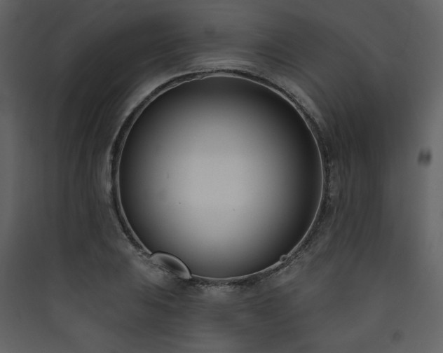 X0000090421031200707131204
