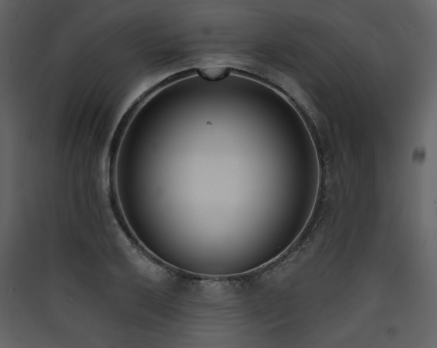 X0000090421032200707131204