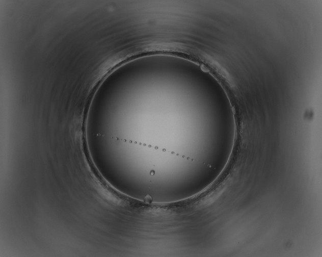 X0000090421033200707131204