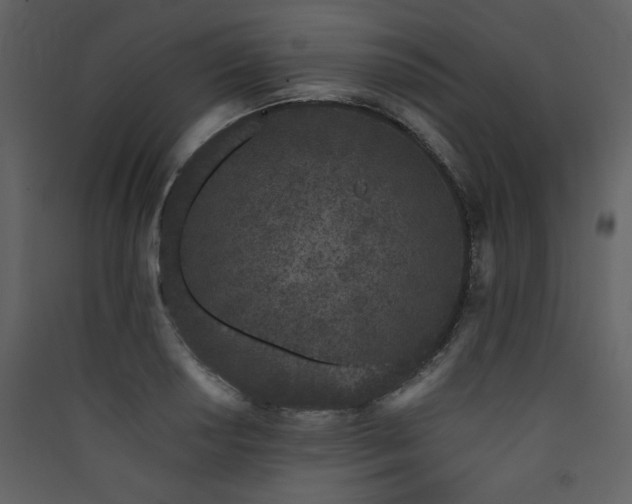 X0000090421034200707131204