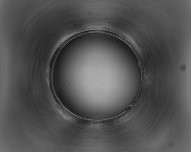 X0000090421035200707131204