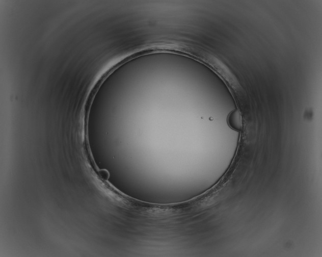 X0000090421036200707131204