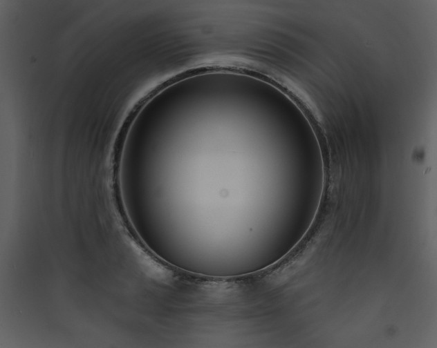 X0000090421037200707131204