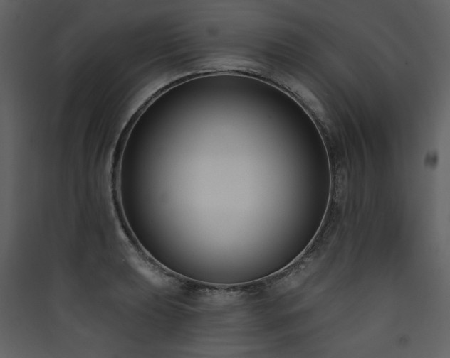 X0000090421039200707131204