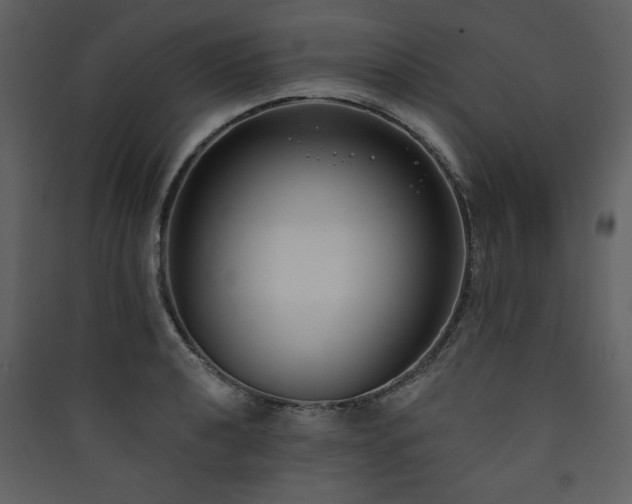 X0000090421040200707131204