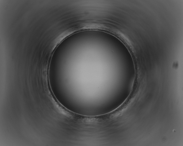 X0000090421041200707131204