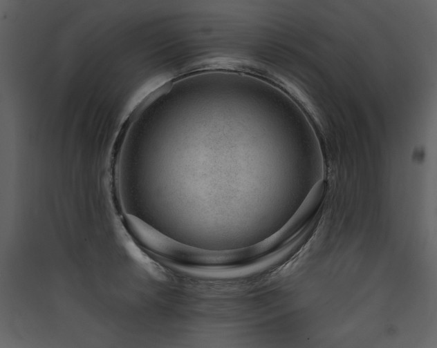 X0000090421042200707131204