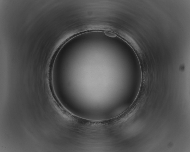 X0000090421043200707131204