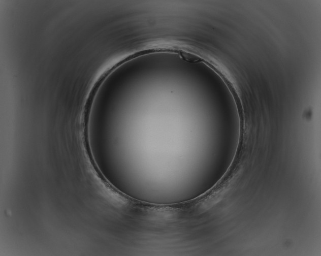 X0000090421045200707131204