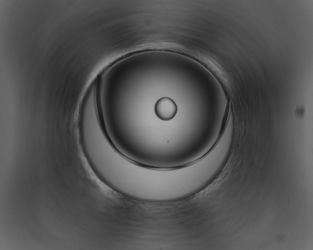 X0000090421046200707131204