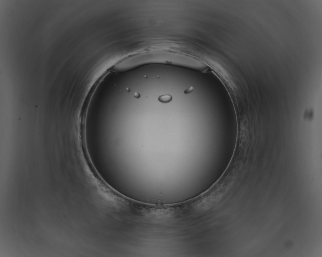 X0000090421047200707131204