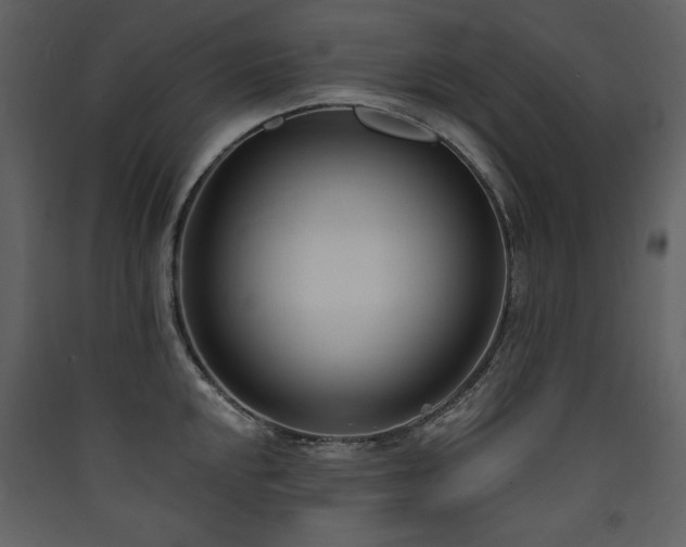 X0000090421048200707131204