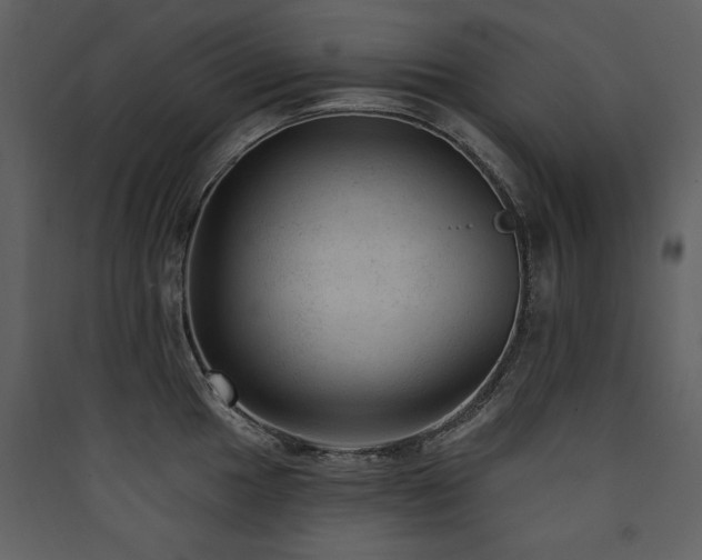X0000090421049200707131204