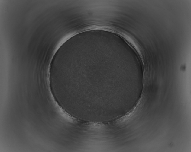 X0000090421050200707131204