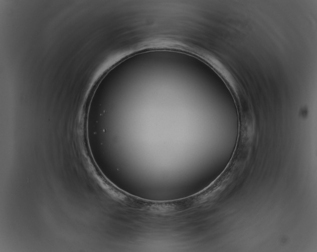 X0000090421053200707131205