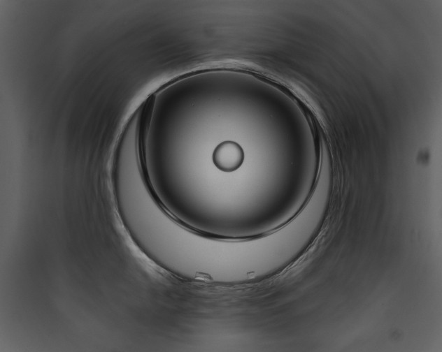 X0000090421054200707131205