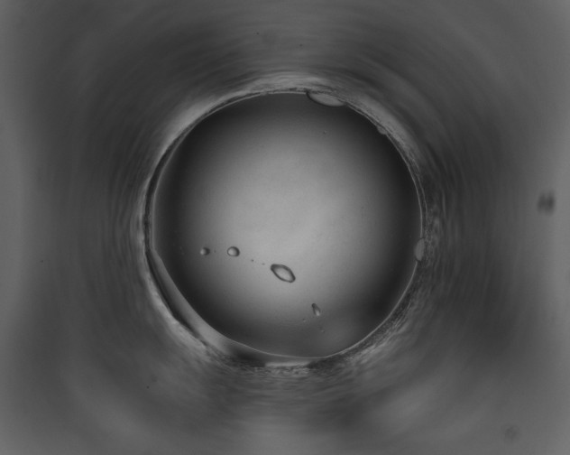 X0000090421055200707131205