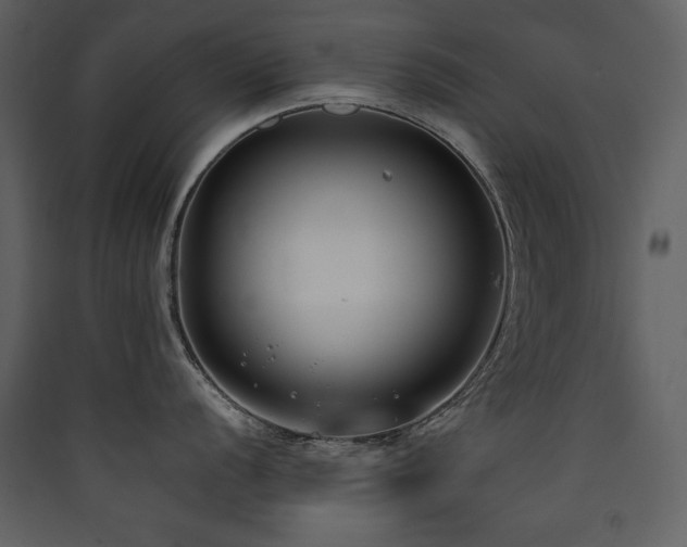 X0000090421056200707131205