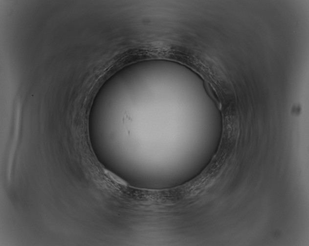 X0000090421057200707131204