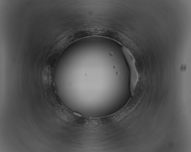 X0000090421058200707131204