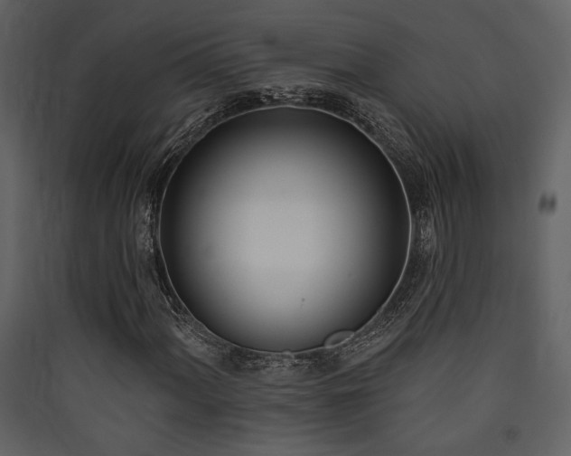 X0000090421060200707131204
