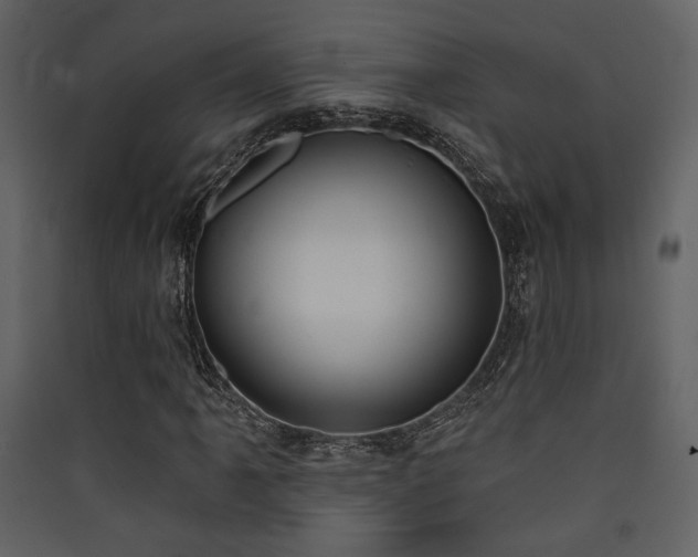 X0000090421061200707131204