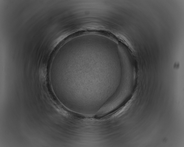 X0000090421065200707131204