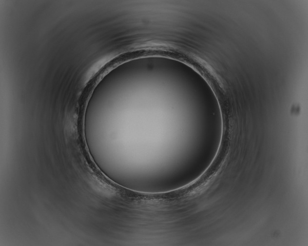 X0000090421066200707131204