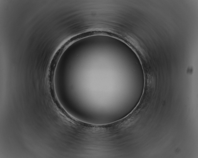 X0000090421068200707131204