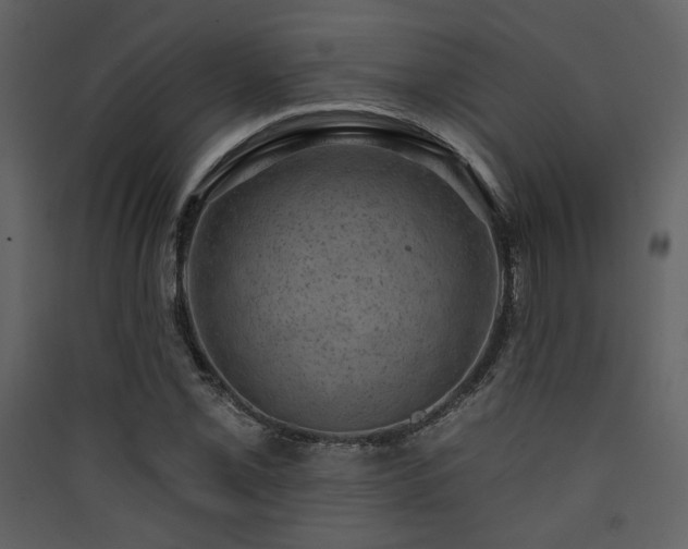X0000090421069200707131204