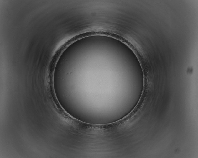 X0000090421070200707131204