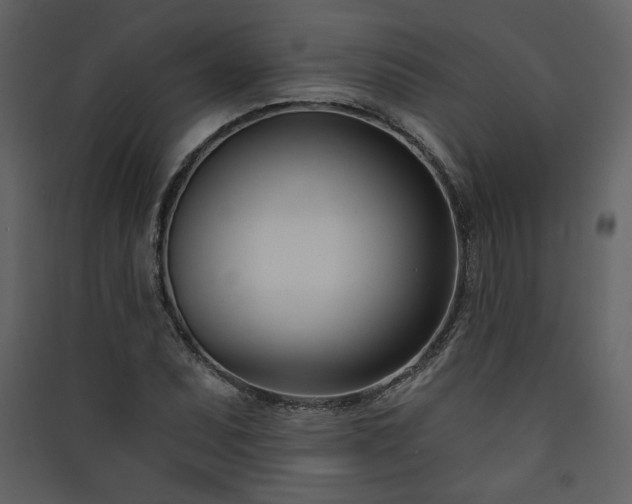 X0000090421071200707131204