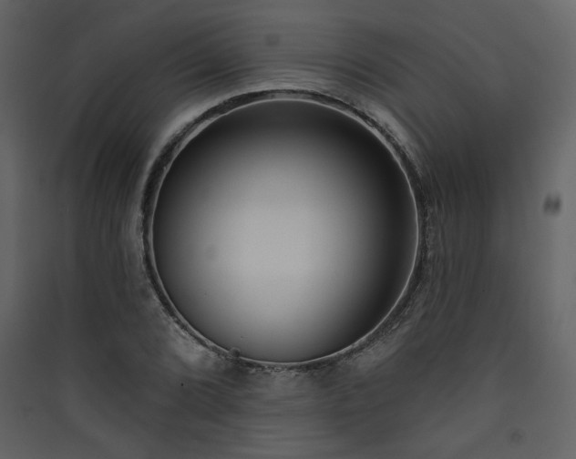 X0000090421072200707131204