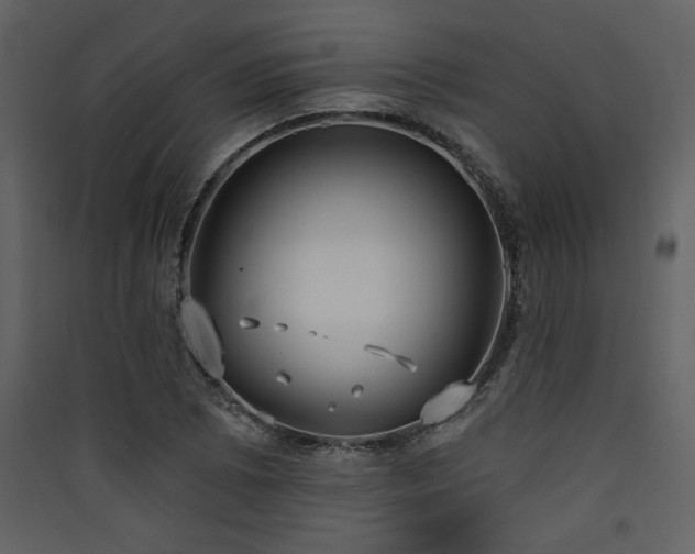 X0000090421073200707131204