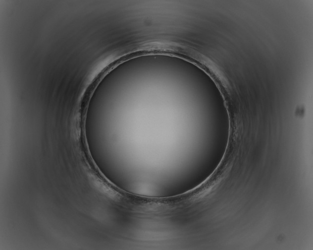 X0000090421075200707131203