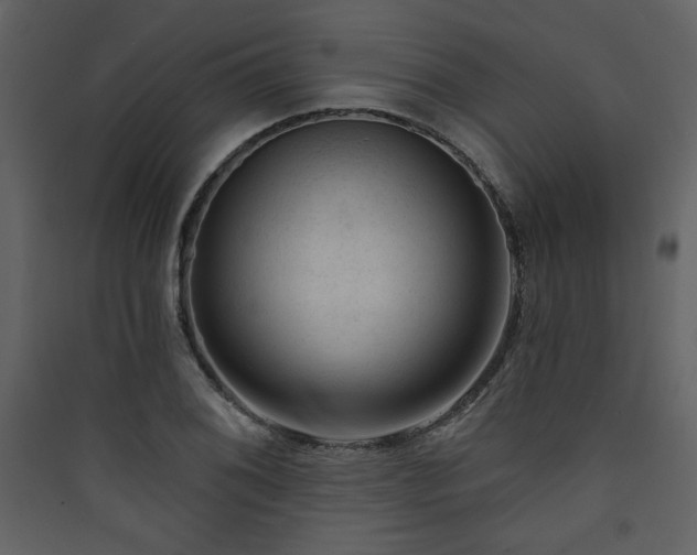 X0000090421076200707131203