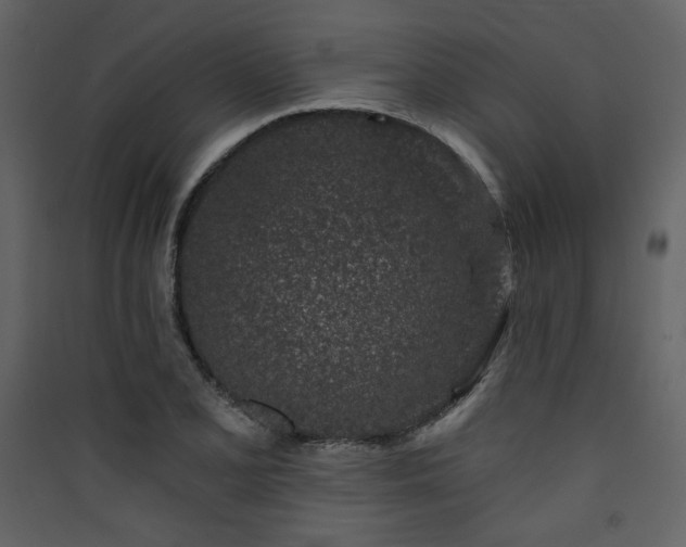 X0000090421077200707131203