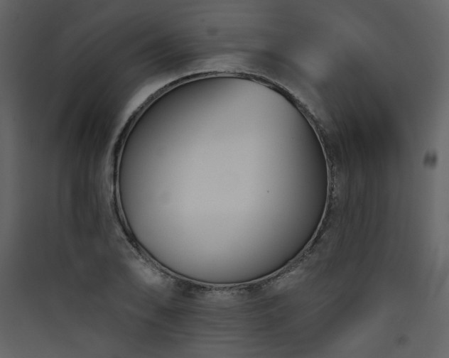 X0000090421078200707131203