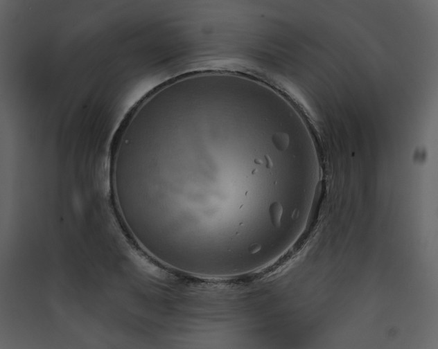 X0000090421079200707131203