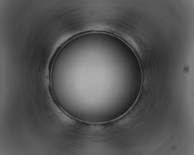X0000090421080200707131203