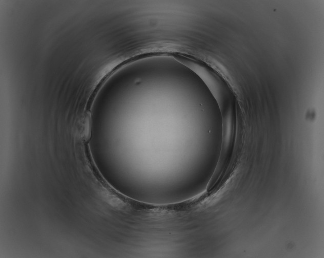 X0000090421081200707131203