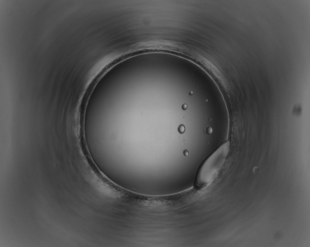 X0000090421082200707131203