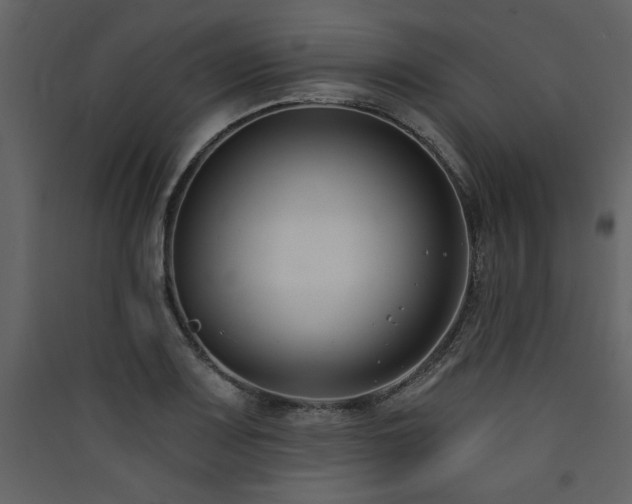 X0000090421083200707131203