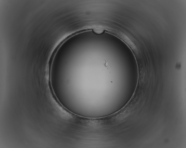 X0000090421084200707131203