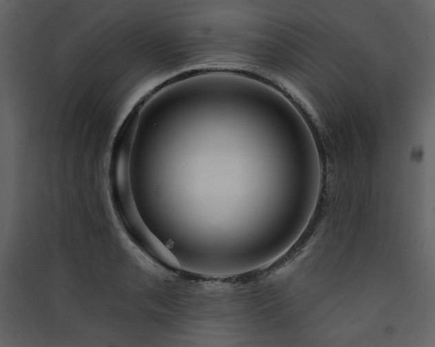 X0000090421085200707131203