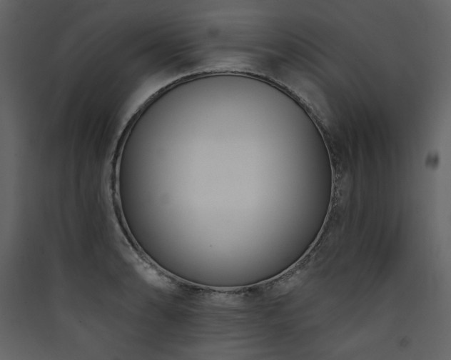 X0000090421086200707131203