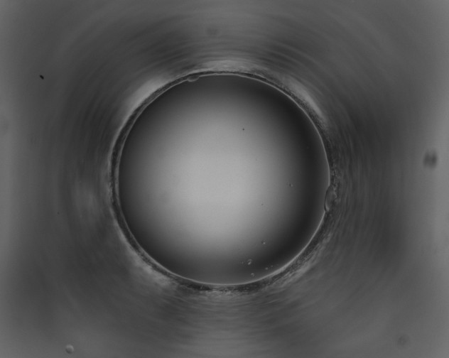 X0000090421087200707131203